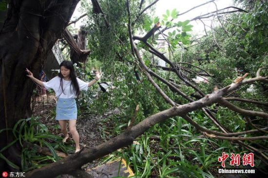 2018年9月17日，超强台风“山竹”登陆后的第二天，深圳市区交通只能有限度恢复，在福田区的人行道上堆积的大量倒塌树木无人清理。
