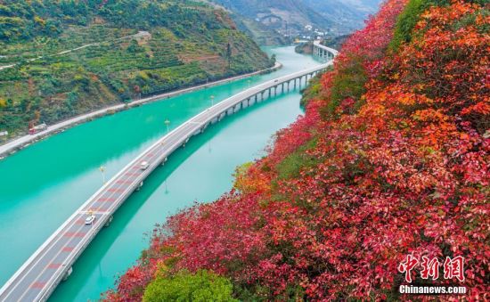 11月19日，在昭君故里湖北兴山县，形似翡翠玉带的香溪河从满是红叶的山间穿过，再“配上”独具特色的水上公路，显现出一幅如诗如画的绝美秋景。李赟