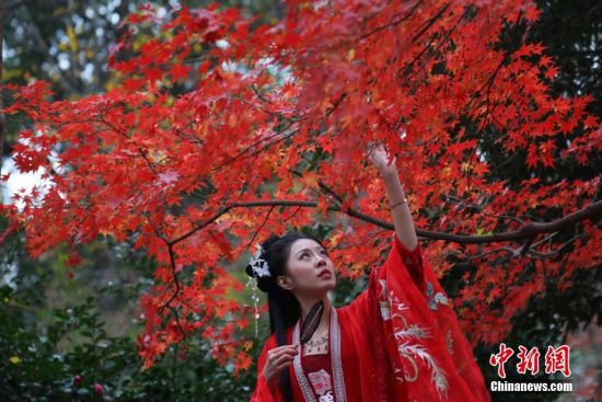 12月5日，南京紫金山红枫岗枝叶层叠，吸引了大批市民漫步其中，欣赏多彩“枫”景。中新社记者