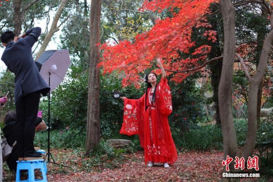 12月5日，南京紫金山红枫岗枝叶层叠，吸引了大批市民漫步其中，欣赏多彩“枫”景。中新社记者