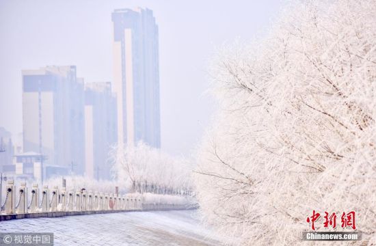2019年1月13日，吉林松原，松花江畔现美丽的雾凇景观。图片来源：视觉中国