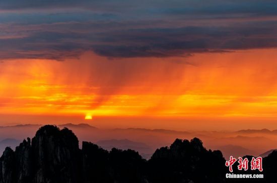 近日，安徽黄山风景区现大面积云海。傍晚时分，夕阳染红了青松和黛石，天边云雾光彩绚烂，景象壮观。文/图