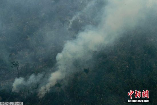当地时间23日，当地媒体公布了一段火场的航拍画面，画面显示，大火在亚马孙雨林内多处肆虐，大量浓烟在空中聚集，已经达到超百米的高度。图为实拍巴西亚马孙雨林大火，浓烟滚滚满目苍夷。