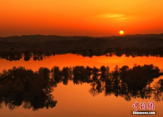 落日下的水面和胡杨以及远方的沙漠构成美景。赵伟铭