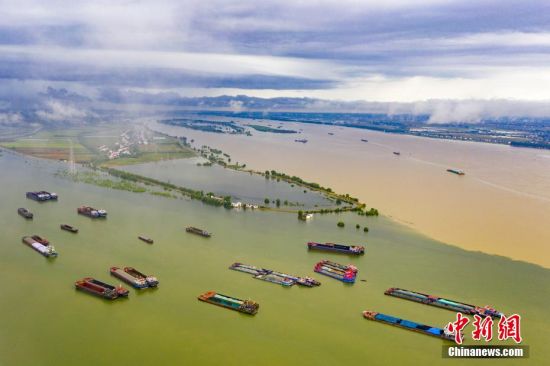 7月27日，江西省湖口县鄱阳湖和长江交汇处，浑浊的长江水与另一侧的鄱阳湖，呈现泾渭分明的两色景观。