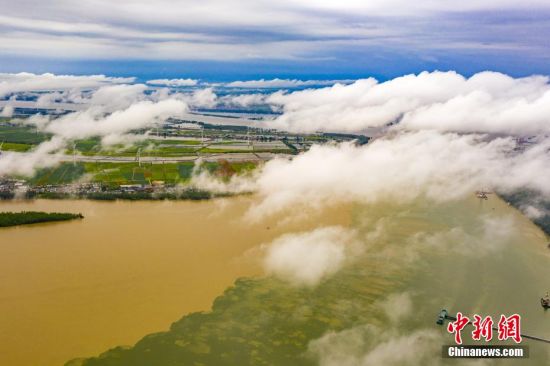 7月27日，江西省湖口县鄱阳湖和长江交汇处的水面上腾起缕缕云雾，呈现泾渭分明的两色景观。