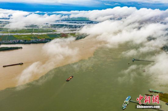 7月27日，江西省湖口县鄱阳湖和长江交汇处的水面上腾起缕缕云雾，呈现泾渭分明的两色景观。