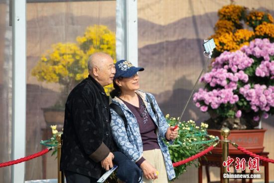 10月25日，市民在北京天坛公园菊花展上拍照留念。