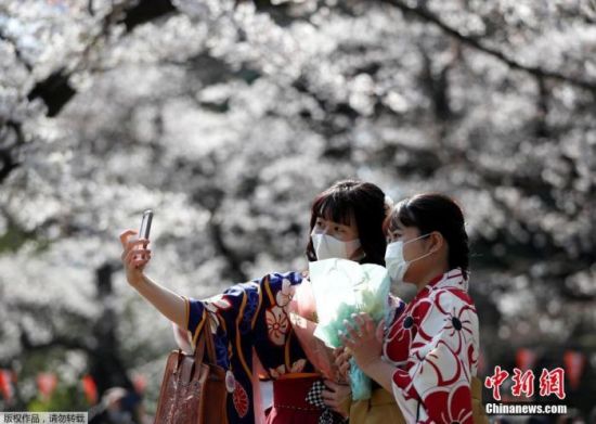 　　资料图：当地时间3月23日，日本东京街头巷尾樱花盛开，游客漫步花海享受春光。