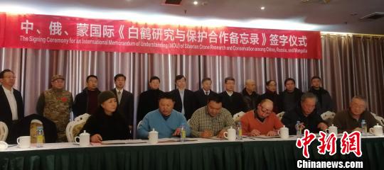 1月17日，来自中国、俄罗斯、蒙古三个国家的六个机构在江西南昌签订《白鹤研究与保护合作备忘录》。　苏路程　摄